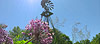 Trevor Struble - Windmill & Flowers Photo